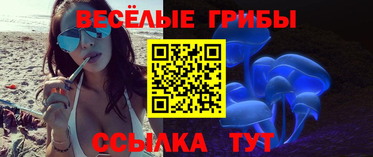 Псилоцибиновые грибы GOLDEN TEACHER Минусинск