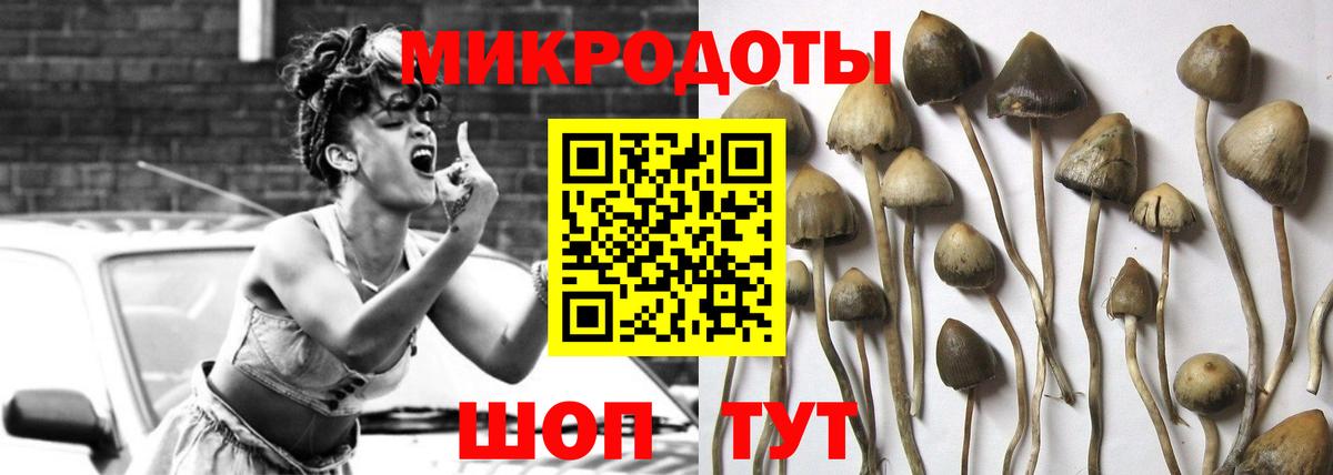 Псилоцибиновые грибы Magic Shrooms  купить   Минусинск  Вход с VPN 